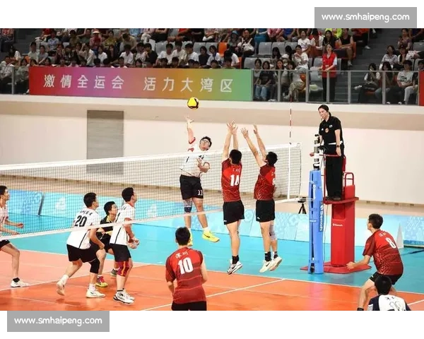 激烈角逐展风采 女子排球赛场上谁将登顶巅峰挑战极限 激烈角逐展风采 女子排球赛场上谁将登顶巅峰挑战极限