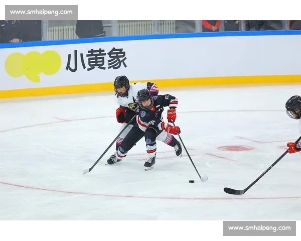 职业冰球赛的激烈对决与运动员背后的故事探索 - 副本 - 副本 (2)