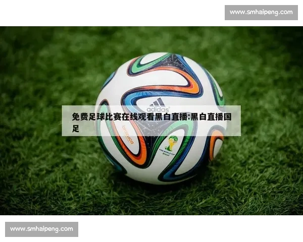足球比赛全网直播全程覆盖全球赛事实时更新与精彩回放 - 副本 - 副本 - 副本